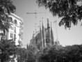 BARCELLONA: vita, news , curiosita'